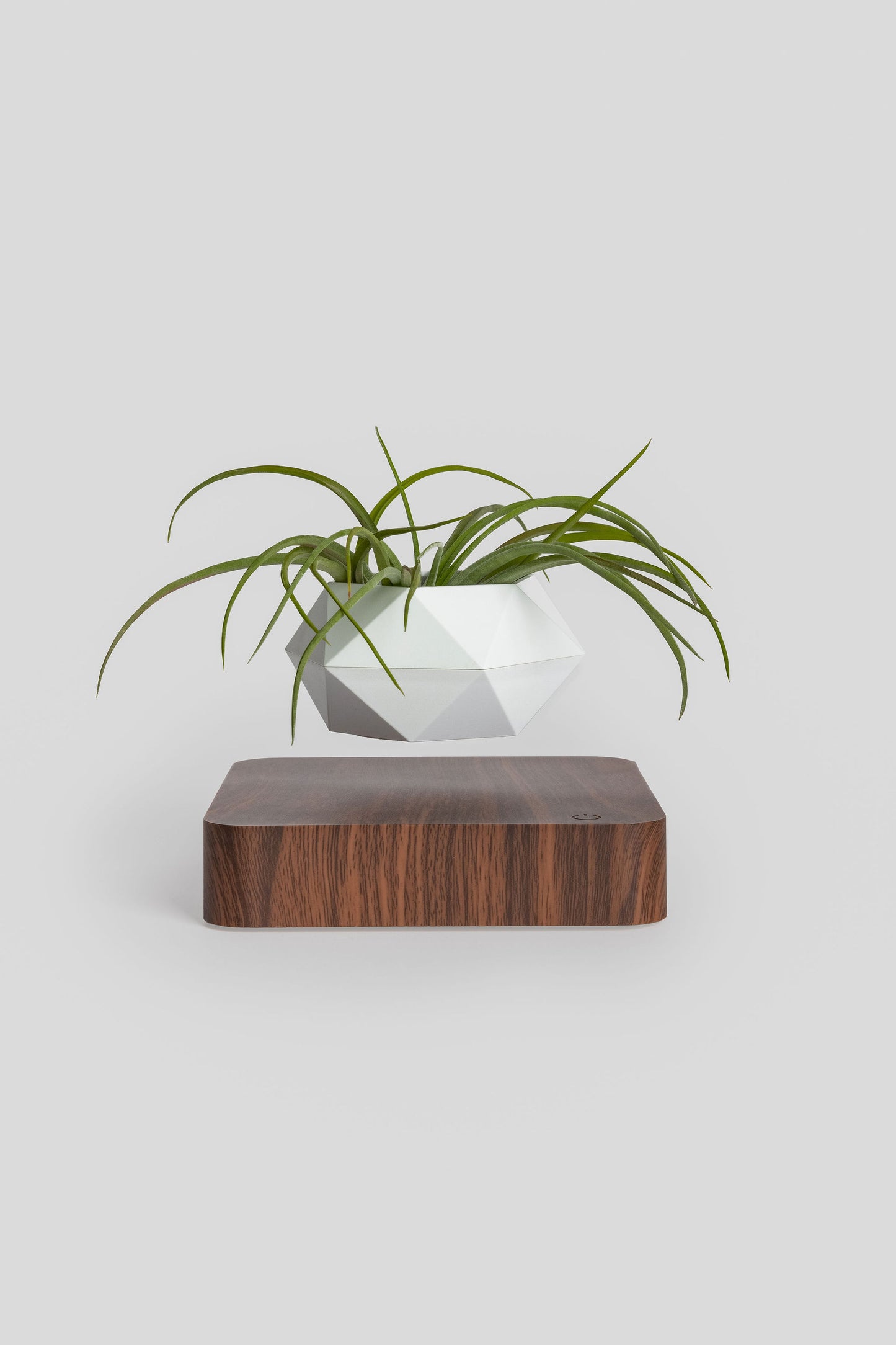 Modern Levitating Planter