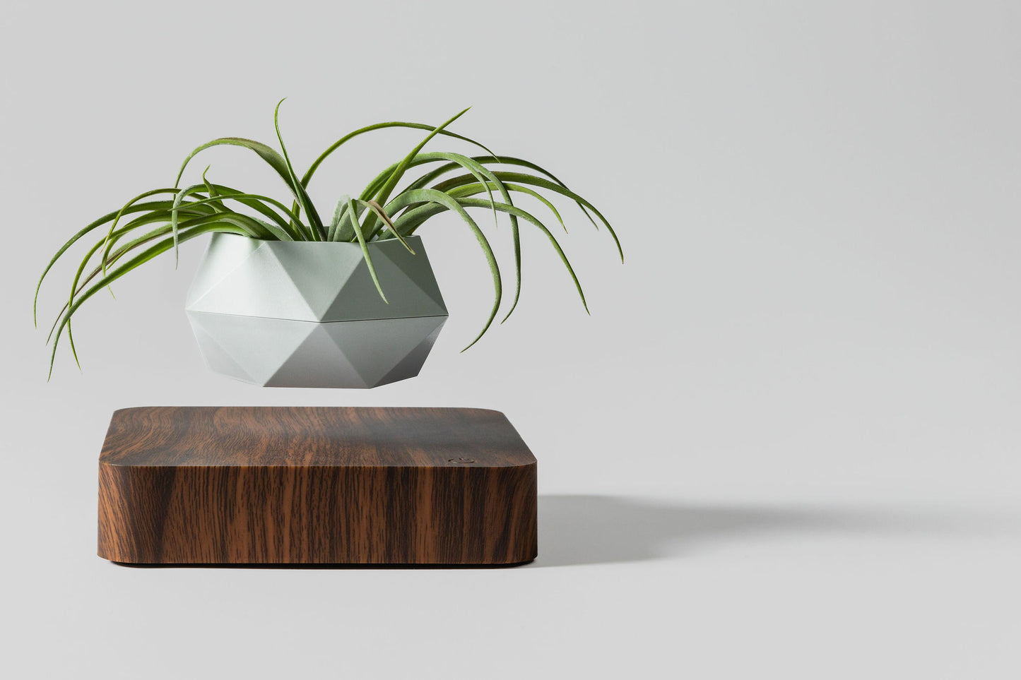 Modern Levitating Planter